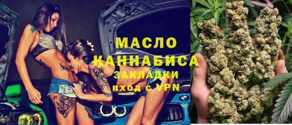 крисы Верея