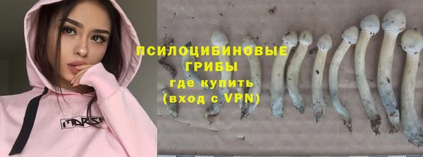 крисы Верея