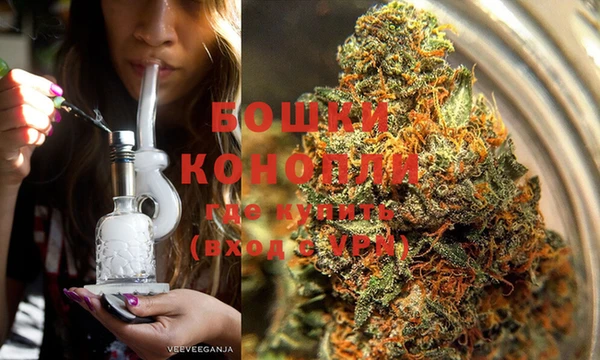 крисы Верея